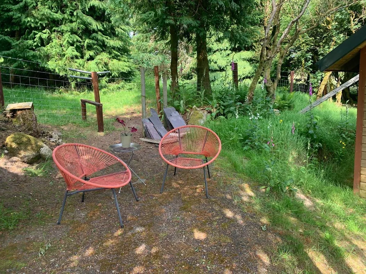 Willow Lodge Dublin
